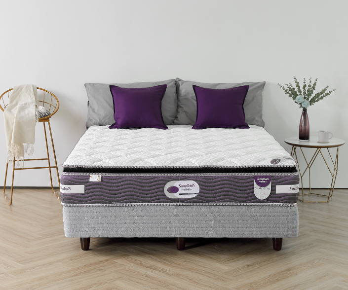 夏洛特Charlotte 2